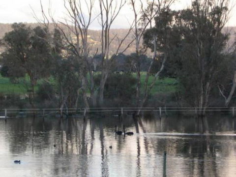 Armadale Farmstay Bed & Breakfast - Goulburn Accommodation 3