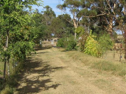 Armadale Farmstay Bed & Breakfast - Goulburn Accommodation 1