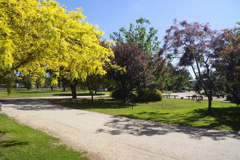 All Seasons Mansfield - Goulburn Accommodation 5