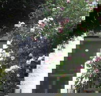 Ivy on Glenelg - Goulburn Accommodation