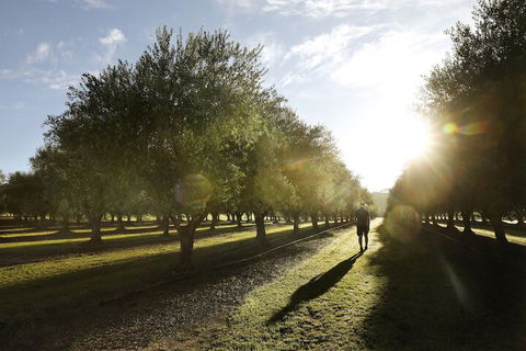 Adina Vineyard - Goulburn Accommodation 2
