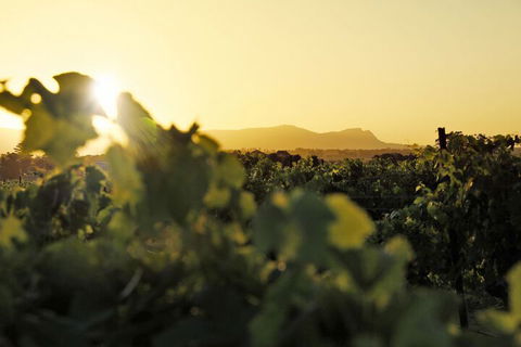 Adina Vineyard - Goulburn Accommodation 1