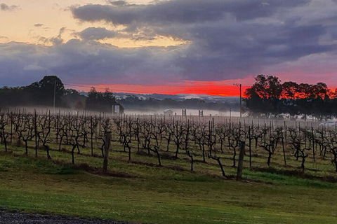 Adina Vineyard - Goulburn Accommodation 4