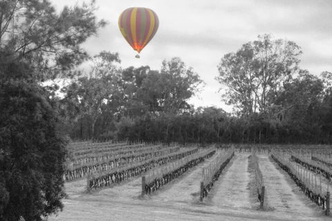 Adina Vineyard - Goulburn Accommodation 5