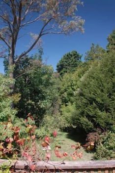 Leura Lady - Goulburn Accommodation 3