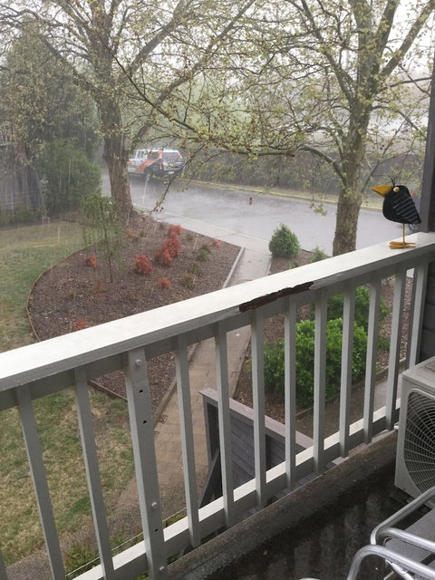 Alloggio Bathurst Apartments - Goulburn Accommodation 6