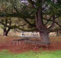 Auburn Shiraz Motel - Goulburn Accommodation