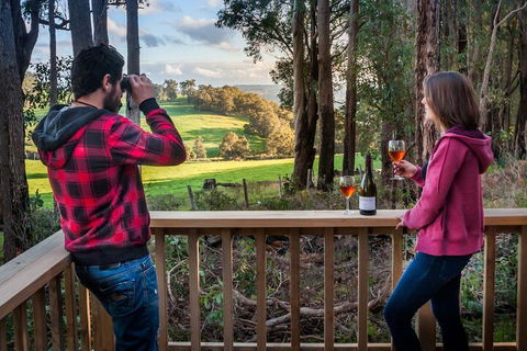 Balingup Heights Hilltop Forest Cottages - Goulburn Accommodation 7