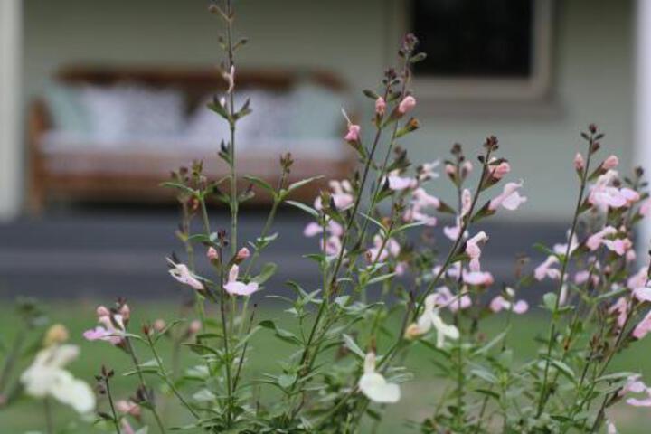 Allynbrook ACT Goulburn Accommodation