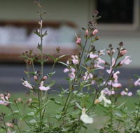 Serendipity on Allyn - Goulburn Accommodation
