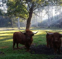 Dingley Dell - Goulburn Accommodation