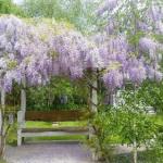 Amelina Cottages - Goulburn Accommodation 0
