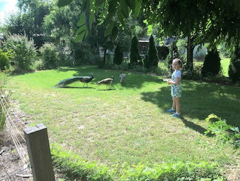 Eukey QLD Goulburn Accommodation