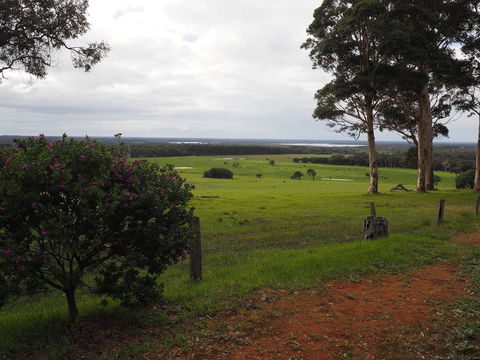 Augusta Sheoak Chalets - Goulburn Accommodation 5