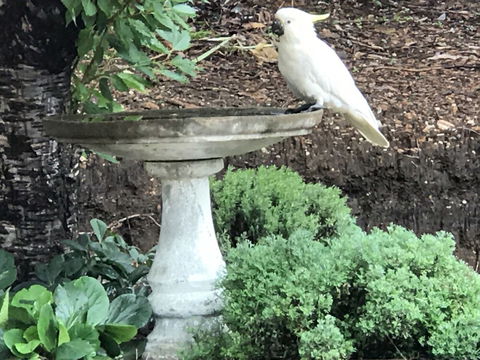 Kurrara Historic Guest House - Goulburn Accommodation 2