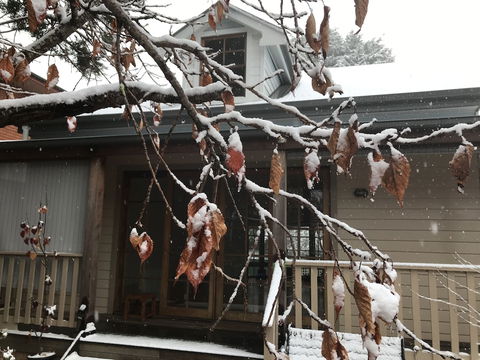Kurrara Historic Guest House - Goulburn Accommodation 4