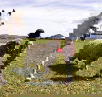 Taras Richmond Farmstay - Goulburn Accommodation