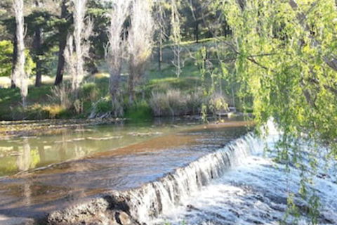 Avocados Accommodation - Goulburn Accommodation 0
