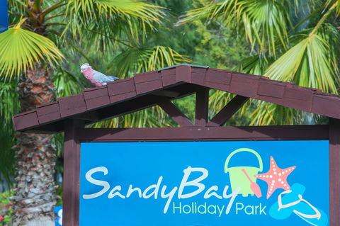 Sandy Bay Holiday Park - Goulburn Accommodation 0