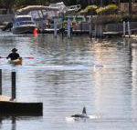 Sunsea Waterfront South Yunderup - Goulburn Accommodation