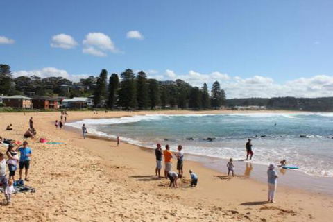 Avoca Beach Cape Cottage - Goulburn Accommodation 0