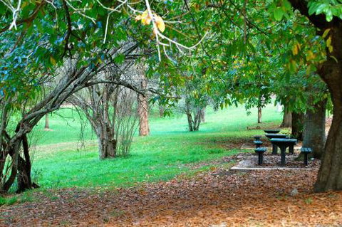 Mount Evelyn Retreat - Goulburn Accommodation 1