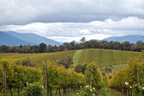 Mount Evelyn Retreat - Goulburn Accommodation 2