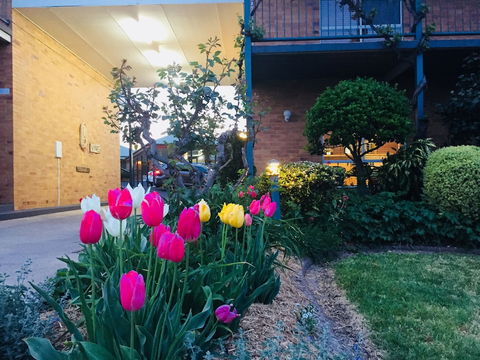 The Vines Motel And Cottages - Goulburn Accommodation 0