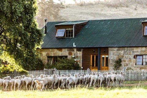 Daisy Bank Cottages - Goulburn Accommodation 0