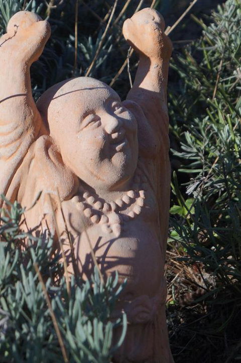Snowgums In Katoomba - Goulburn Accommodation 2