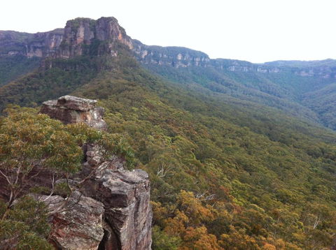 Snowgums In Katoomba - Goulburn Accommodation 4
