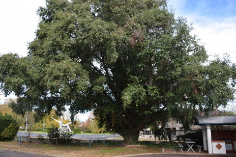 Alkira Motel - Goulburn Accommodation 2