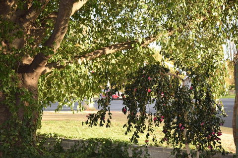 Alkira Motel - Goulburn Accommodation 4