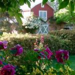 A Country Barn Retreat - Goulburn Accommodation 0