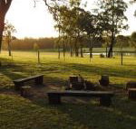 Wallaby Cottage cute Accom in bushland setting - Goulburn Accommodation