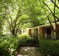 Leura Camellias - Goulburn Accommodation