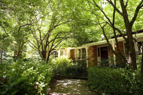 Leura Camellias - Goulburn Accommodation 0