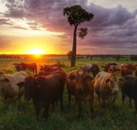 Myella Farm Stay - Goulburn Accommodation