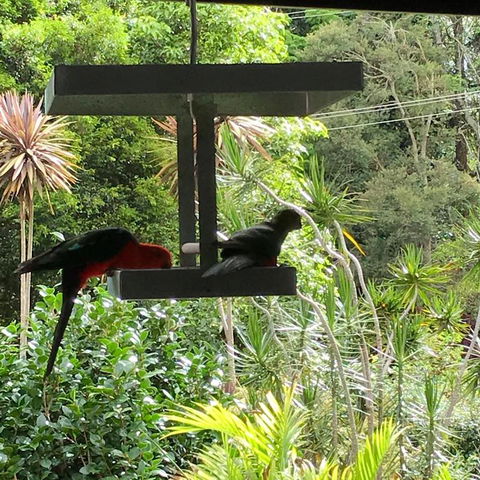 PK Illusions - Goulburn Accommodation 3