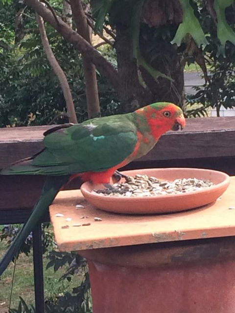 PK Illusions - Goulburn Accommodation 6