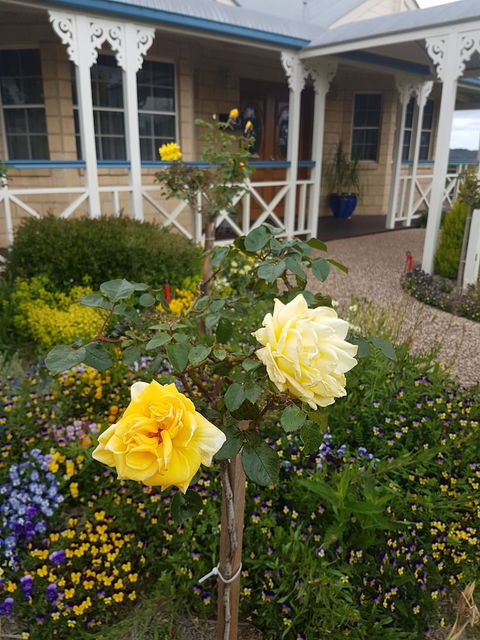 Grovely House Bed & Breakfast - Goulburn Accommodation 3