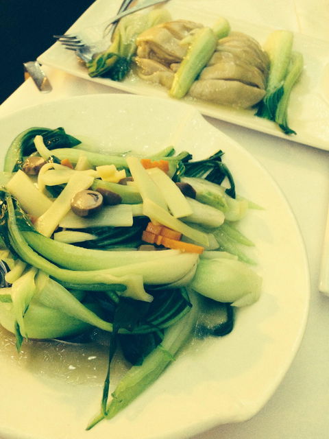 Xanadu On Collins - Goulburn Accommodation 2