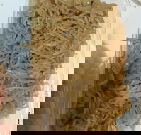 Quick Thai Restaurant - Goulburn Accommodation