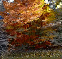 Stella Kitchen Chinese Take Away - Goulburn Accommodation