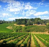 Kellybrook Winery and Kelly Brothers Cider