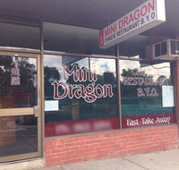 Mini Dragon - Goulburn Accommodation