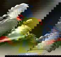 The Lillipad Cafe - Goulburn Accommodation