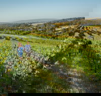 Wills Domain - Goulburn Accommodation