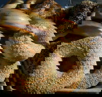 NYC Bagel Deli - Fortitude Valley - Goulburn Accommodation