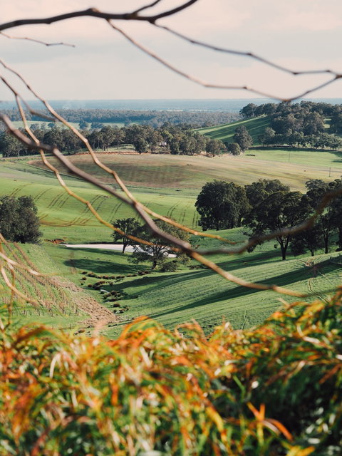Green Door Winery Cellar Door - Goulburn Accommodation 0